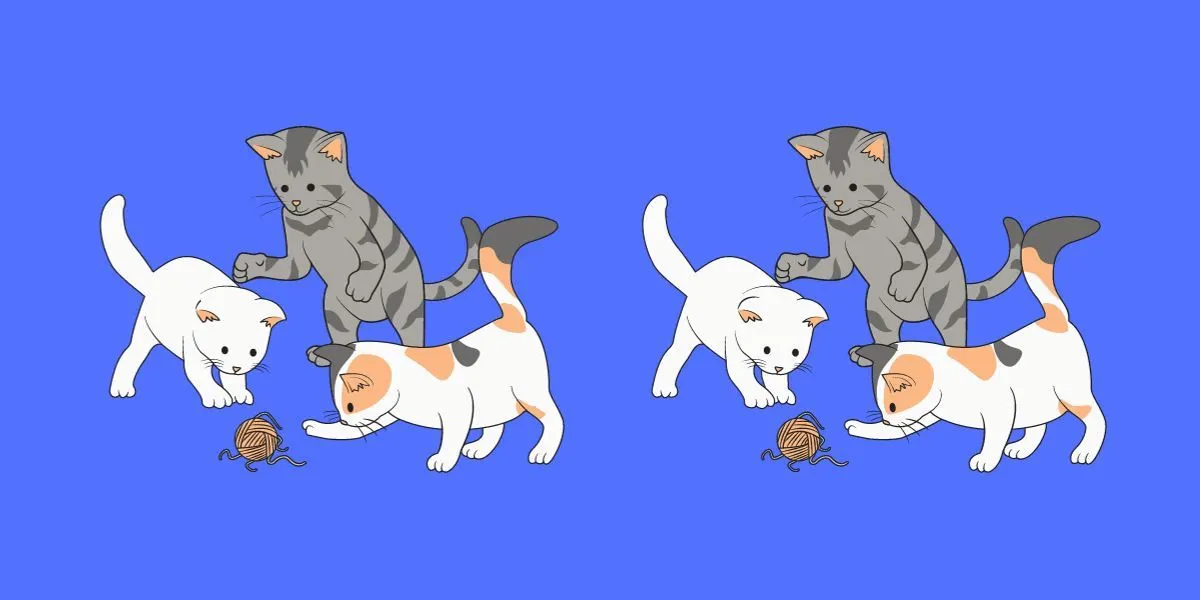 Pada gambar di atas terdapat tiga kucing yang sedang bermain-main. Dari kedua gambar tersebut, sekilas tidak terlihat ada perbedaan.
