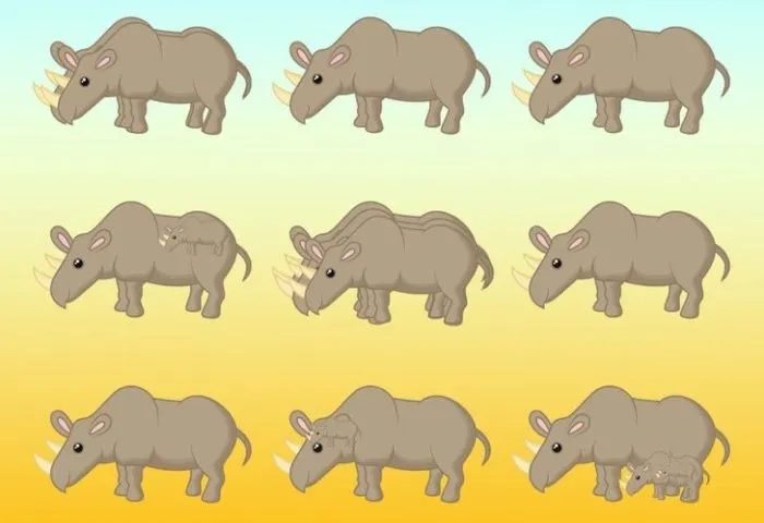 Tes IQ: Coba Tebak Ada Berapa Badak Dalam Gambar, Jawab 9 Sudah Pasti Salah!