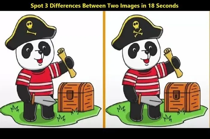 Tes IQ: Fokus Terganggu? Temukan 3 Perbedaan pada Gambar Panda Bajak Laut Ini, Uji Seberapa Baik Kekuatan Analisamu