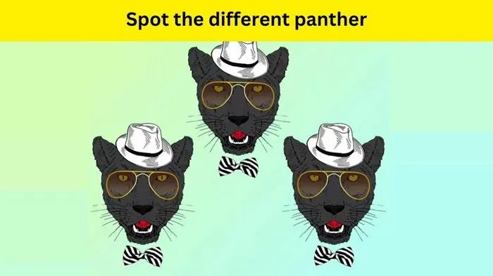 Tes IQ: Ingin Mengasah Kemampuan Analisa? Coba Temukan 1 Perbedaan pada Gambar Black Panther Ini