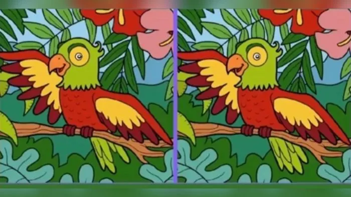 Tes IQ: Seberapa Cerdas dan Teliti Kamu? Cari Tahu dengan Temukan 3 Perbedaan di Gambar Burung Beo, Waktunya 10 Detik!