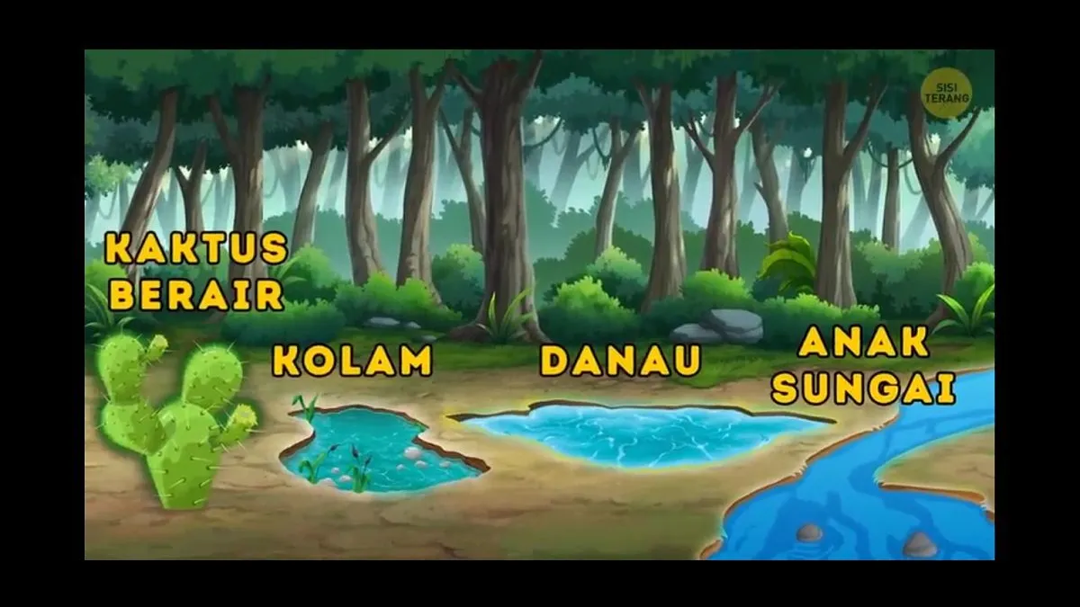 Tes IQ kali akan mengasah kemampuan kamu dalam bertahan hidup. Sumber air mana yang paling aman untuk diminum di hutan?