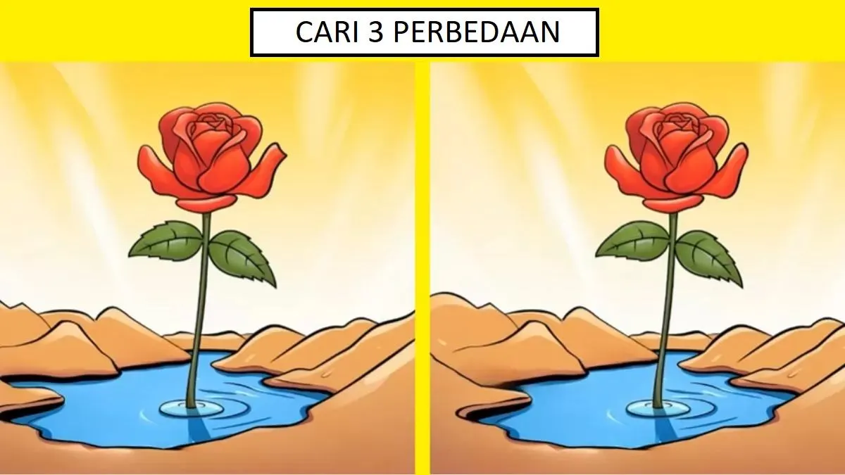 Pada tantangan tes IQ kali ini, akan memintamu untuk menemukan 3 perbedaan dari gambar yang identik. Silakan dicoba ya.