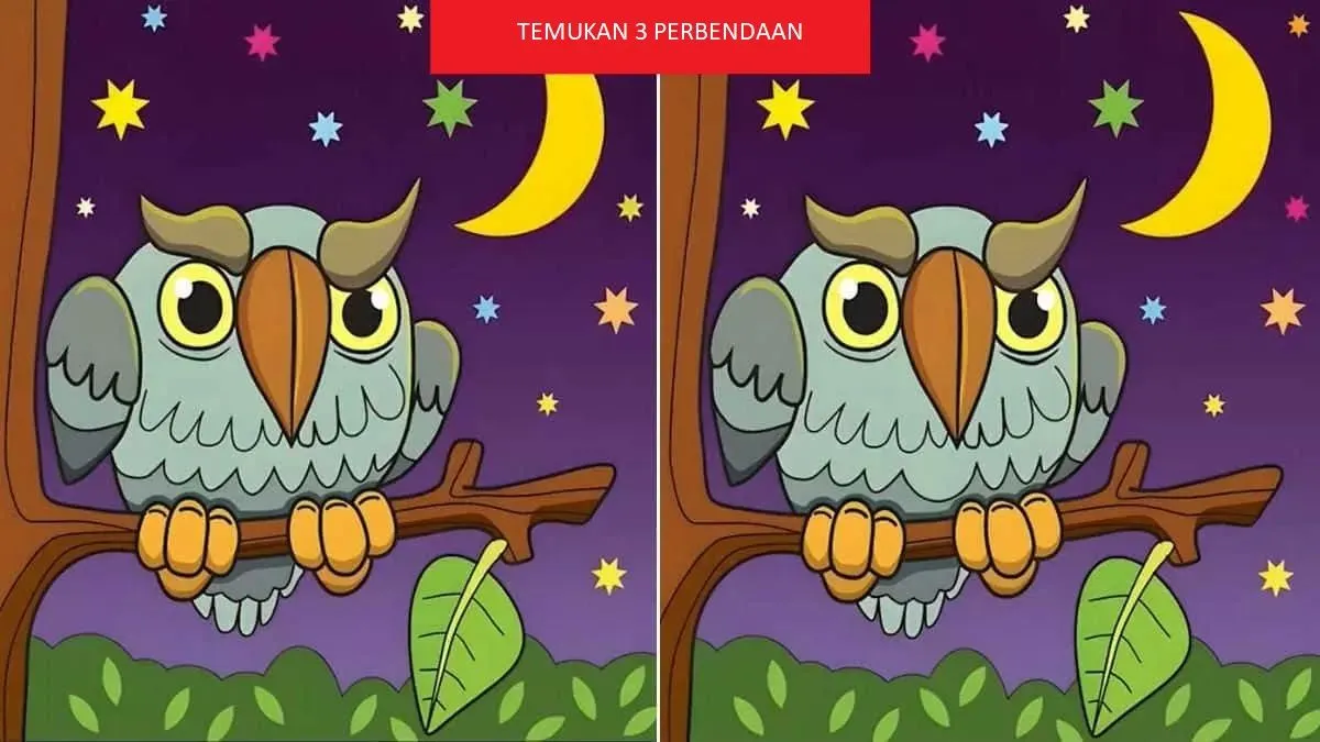 Tes IQ ini dilakukan dengan bantuan dua gambar burung hantu yang hampir identik. Kamu diminta untuk menemukan perbedaan di antara keduanya.