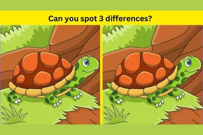 Tes IQ: Temukan 3 Perbedaan dari Gambar Kura-Kura untuk Menguji Kemampuan Analisa Kamu