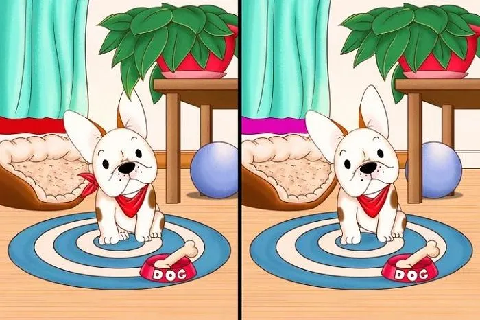 Tes IQ: Temukan 5 Perbedaan dari Kedua Gambar Ini, Uji Ketelitian Mata Kamu!
