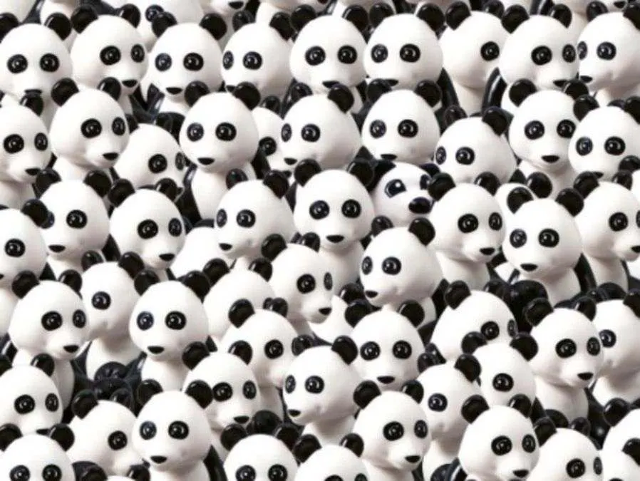 Temukan seekor anjing yang tersembunyi di antara sekumpulan panda, bisa? Kamu diberi waktu 6 detik untuk menjawab tantangan tes IQ ini.
