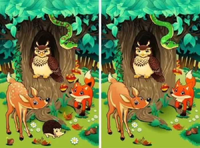 Tes IQ kali ini berupa teka-teki menemukan perbedaan di antara kedua gambar yang hampir identik dan sengaja diletakkan secara berdampingan.