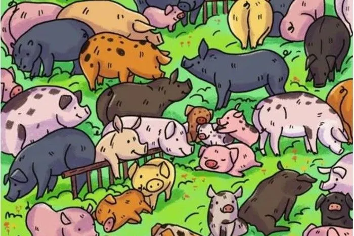 Tes Ilusi Optik: Temukan Kuda Nil di antara Kumpulan Babi dalam Waktu 10 Detik