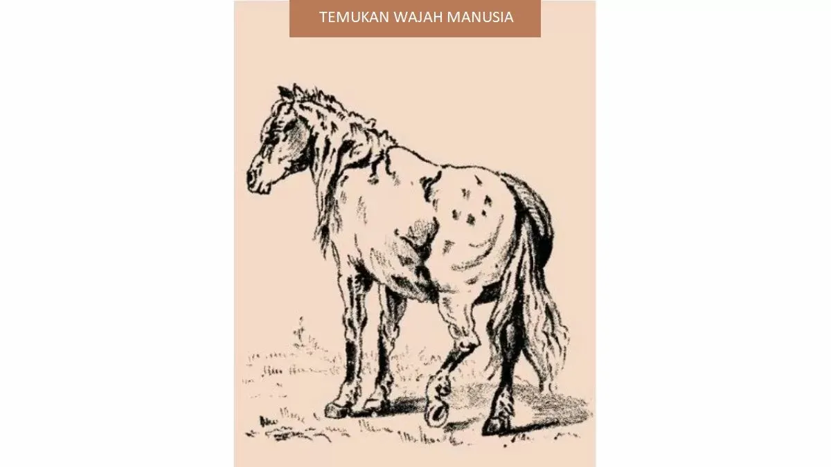 Tes ilusi optik kali ini akan memintamu untuk menemukan sebuah wajah tersembunyi. Kamu melihat wajah seorang pria?
