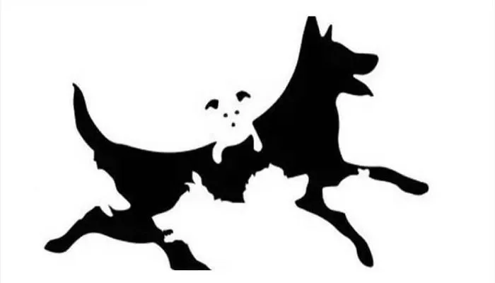 Tes Kepribadian Jumlah Anjing yang Kamu Lihat Mengungkapkan Bagaimana Pemikiranmu