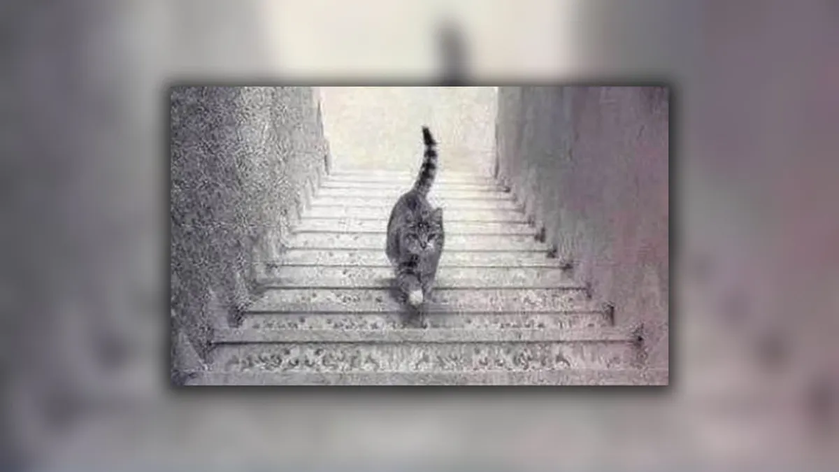 Ada banyak cara untuk mengungkapkan bagaimana karakter seseorang, salah satunya melalui tes kepribadian dengan gambar kucing di tangga ini.