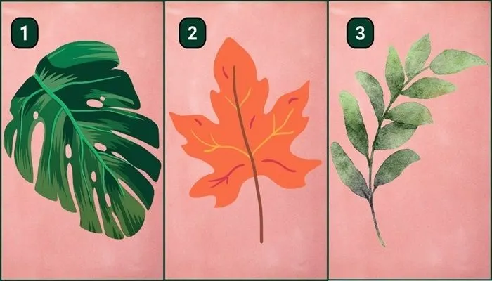 Tes Kepribadian: Pilih Satu Gambar Daun Berikut dan Ketahui Karakter yang Kamu Miliki
