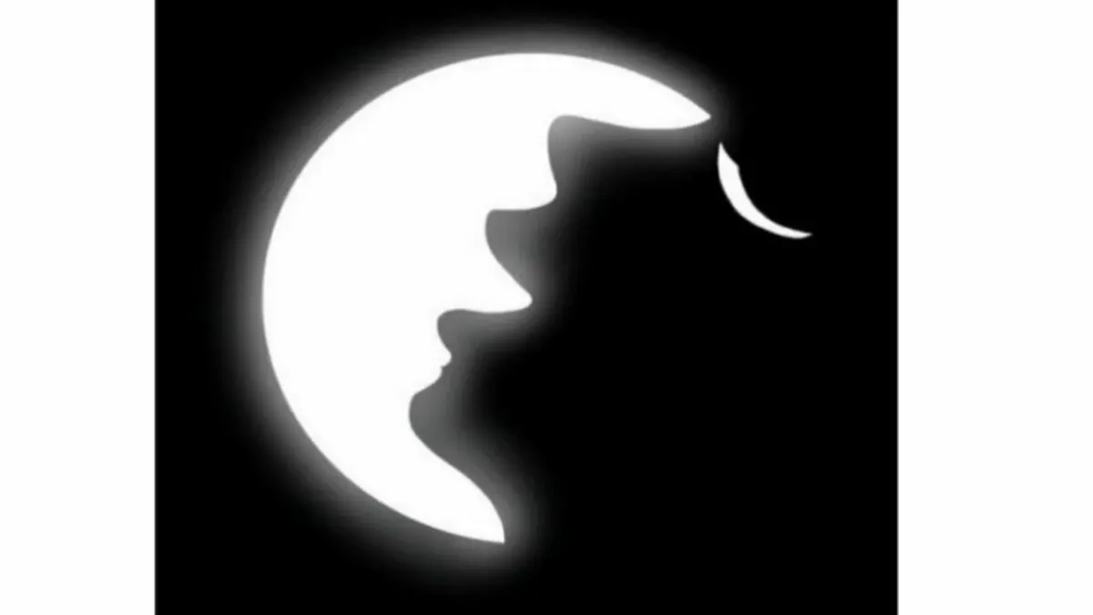 Gambar tes kepribadian ini merupakan gambar dua wajah dengan salah satu adalah wajah berwarna hitam dan satu lagi berwarna putih.