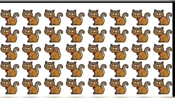 Jawaban Tes Penglihatan: Jangan Ngaku Si Mata Elang Sebelum Berhasil Temukan Kucing Paling Berbeda pada Gambar, Waktumu 10 Detik!