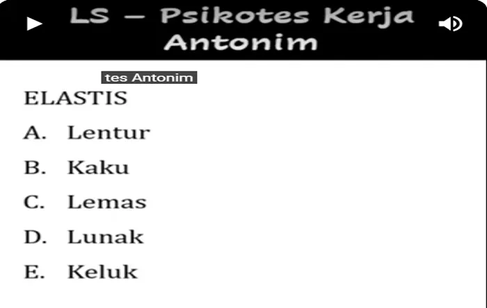 Tes Psikologi: Psikotes untuk Kerja, Lawan Kata atau Antonim dari Elastis Apa? Temukan Jawabannya di Sini