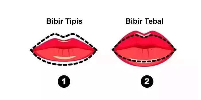 Illustrasi Tes Kepribadian
