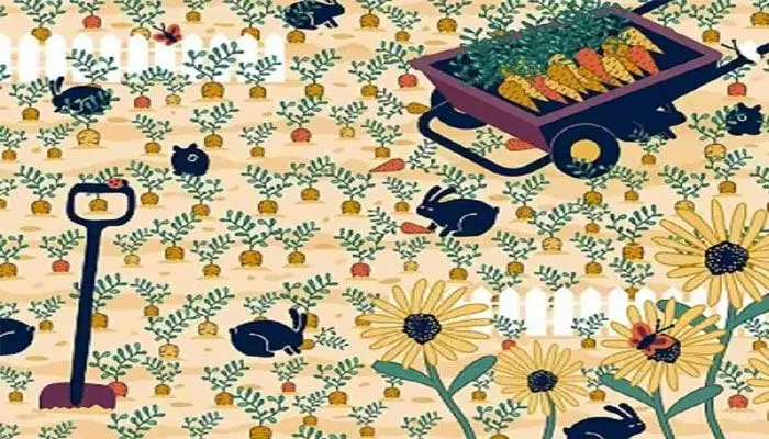 Tes Penglihatan: Seberapa Cepat Kamu Menemukan Sebuah Cincin Pada Kebun Wortel Ini?