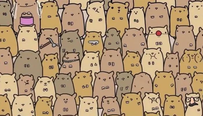 Tes Ilusi Optik: Coba Temukan Kentang di Antara Hamster