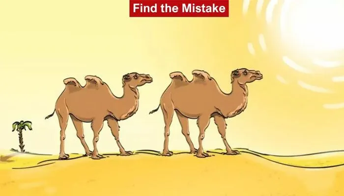 Tes IQ: Coba Temukan Apa Yang Salah Pada Gambar Unta Ini
