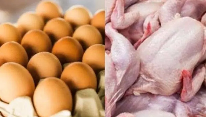Pemerintah akan Kembali Salurkan Bantuan Daging Ayam + Telur