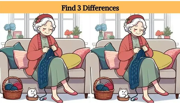 Tes IQ: Ada 3 Perbedaan pada Gambar Nenek ini