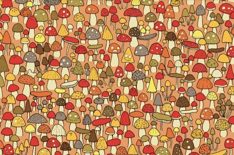 Illustrasi Tes Kepribadian.