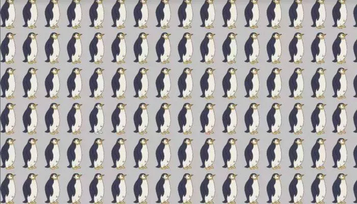 Tes IQ: Tentukan 1 Penguin yang Berbeda Diantara Banyaknya Penguin yang Lainnya