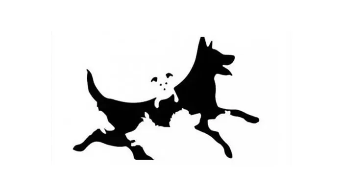 Tes Kepribadian: Berapa Jumlah Anjing dalam Gambar?
