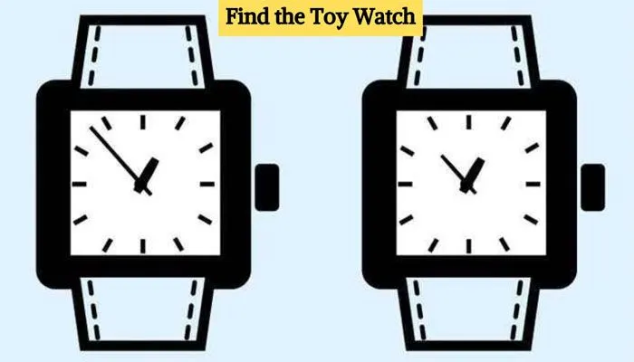 Tes IQ: Temukan 1 Perbedaan yang Paling Mencolok Diantara 2 Jam Tangan pada Gambar Ini
