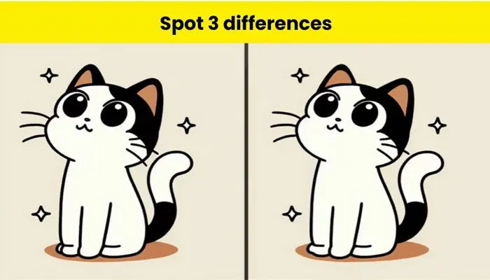 Tes Penglihatan: Coba Temukan 3 Perbedaan Pada Kucing Ini