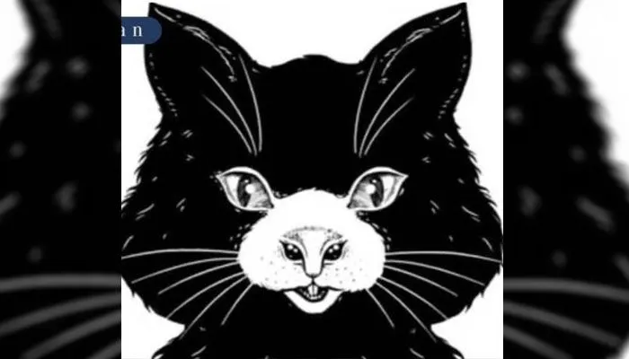 Tes Kepribadian: Mana Hewan yang Kamu Lihat Lebih Dulu, Kucing atau Tikus?