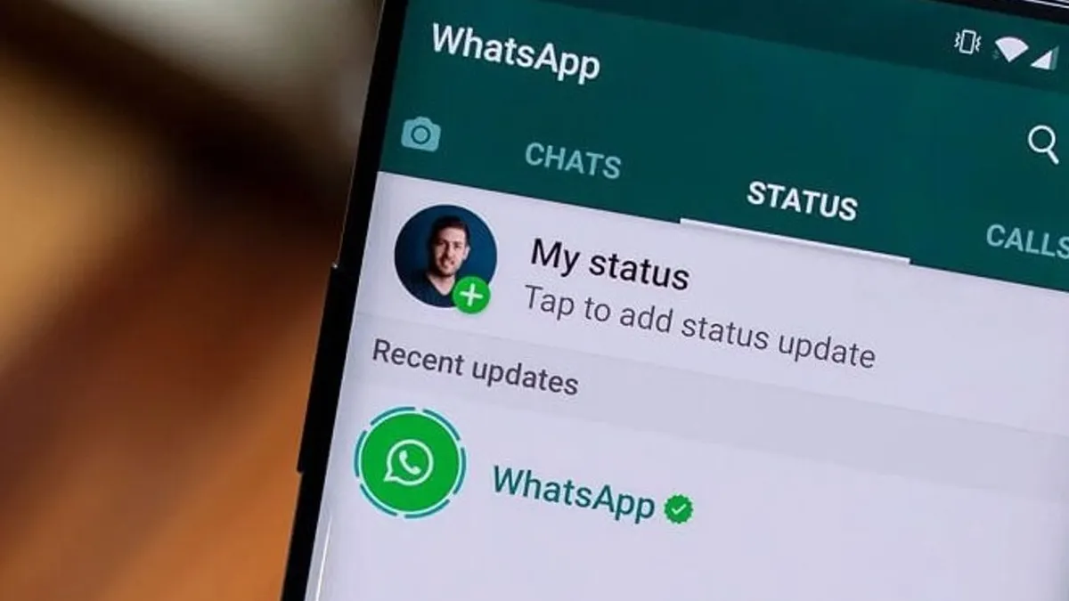 Cara Menghilangkan Nama dan Info di Profil WA