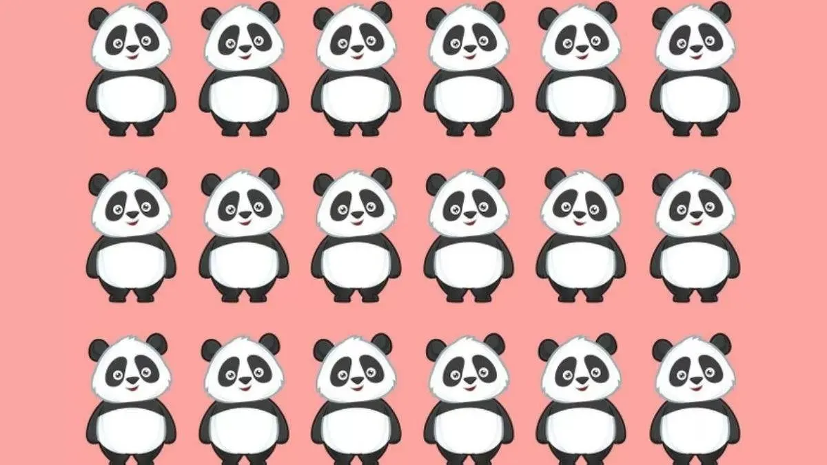 Tes Ilusi Optik: Temukan Satu Panda yang Berbeda di Antara Panda Lainnya, Dalam Waktu 10 Detik