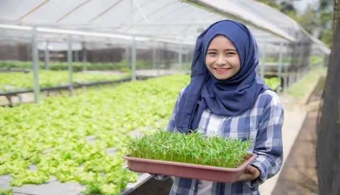 Mengenal Jurusan Kuliah Agroteknologi, dan Bagaimana Prospek Kerja Setelah Lulus?