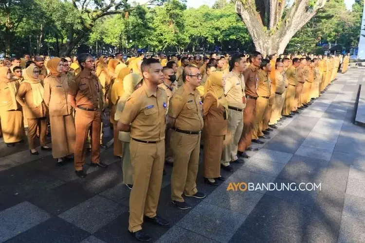 Pekerja yang saat ini berstatus sebagai honorer di instansi pemerintah, akan ada kemungkinan diangkat menjadi ASN.