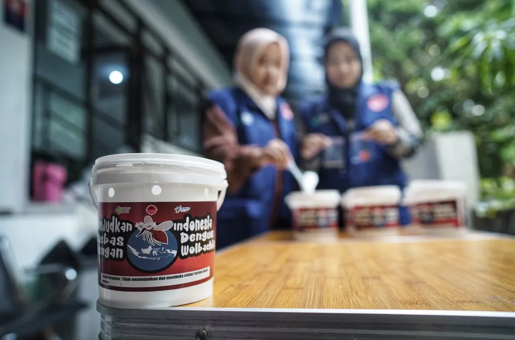 Petugas Dinkes Kota Bandung memberi pakan bibit nyamuk yang telah diberi kuman Wolbachia untuk Cegah DBD.