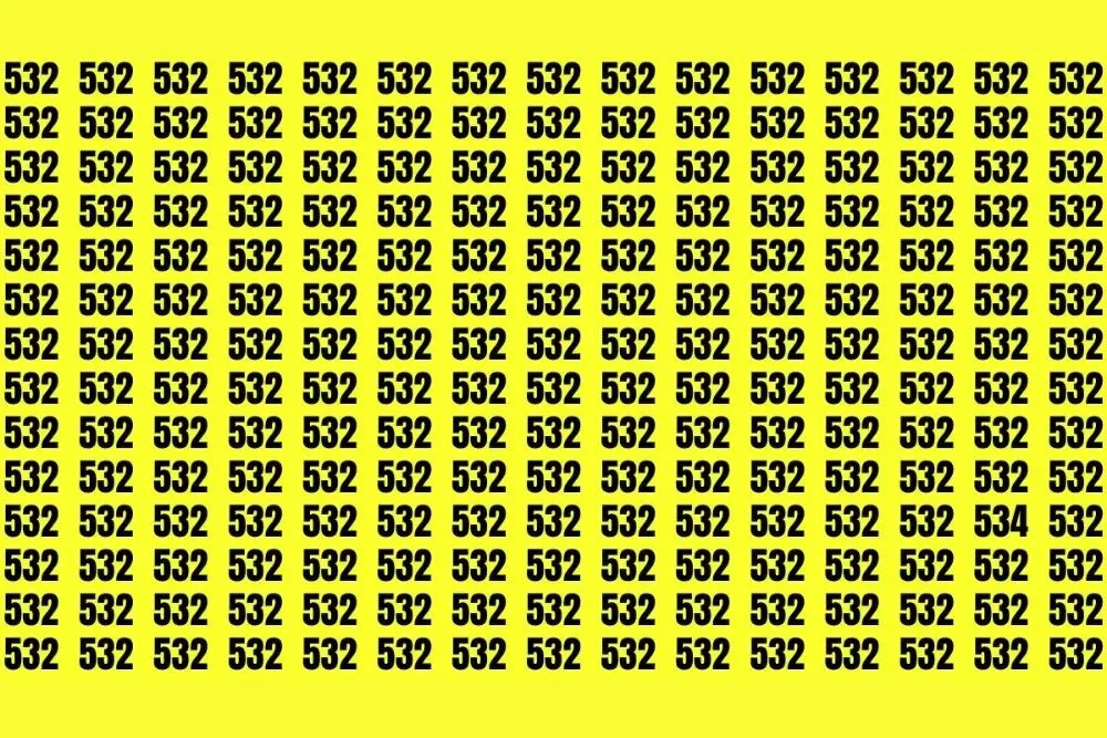 Tes Penglihatan: Kurang Fokus? Yuk Latihan dengan Cari Angka 534 di antara Deretan Angka 532, Bisa? (fresherlive)