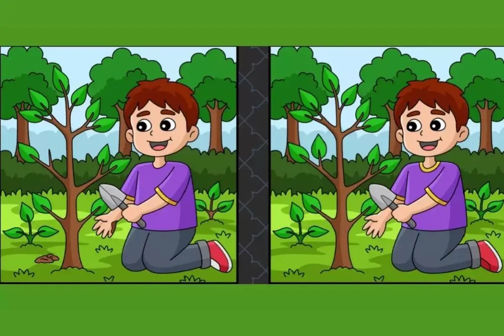Tes IQ: Cari Minimal 3 Perbedaan pada Kedua Gambar Ini!