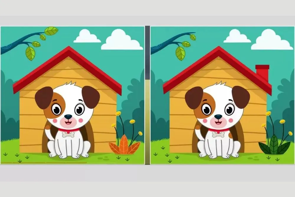 Tes IQ: Ada 5 Perbedaan pada Gambar Anjing Ini, Coba Temukan Minimal 3 Saja, Yuk Konsentrasi! (Fresherlive)
