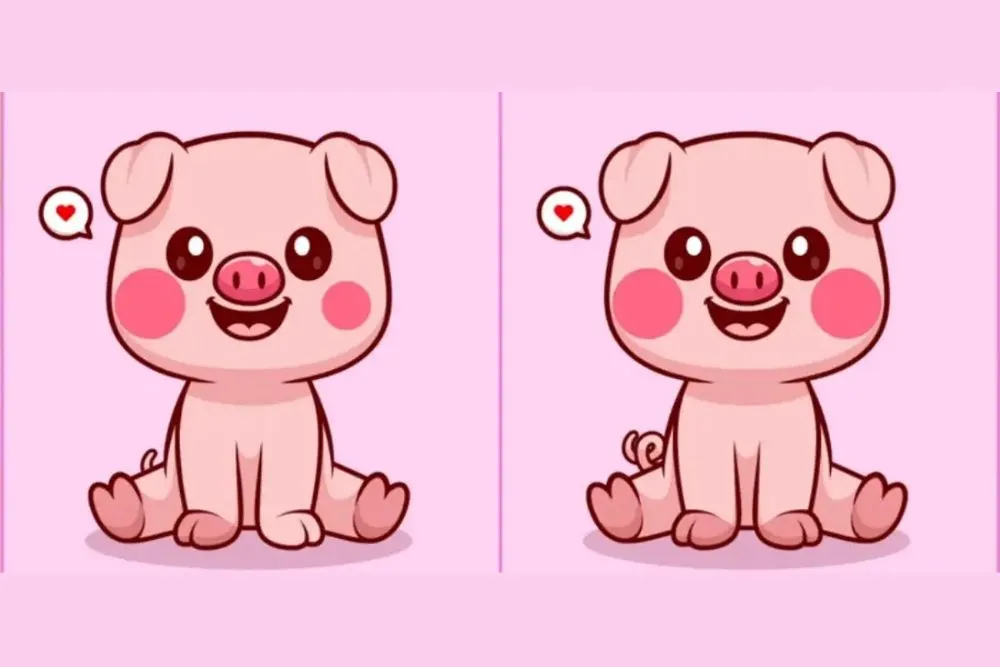 Kali ini tantangan tes IQ berupa mencari perbedaan dari kedua gambar babi yang lucu dan menggemaskan. Cobalah jawab dengan benar.