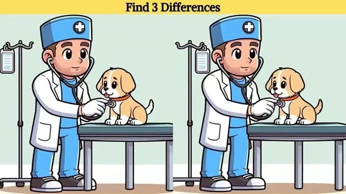 Tes IQ: Uji Kemampuan Observasi, Ayo Cari 3 Perbedaan pada Gambar Dokter yang Memeriksa Anjing Ini, Ketemu Tidak?