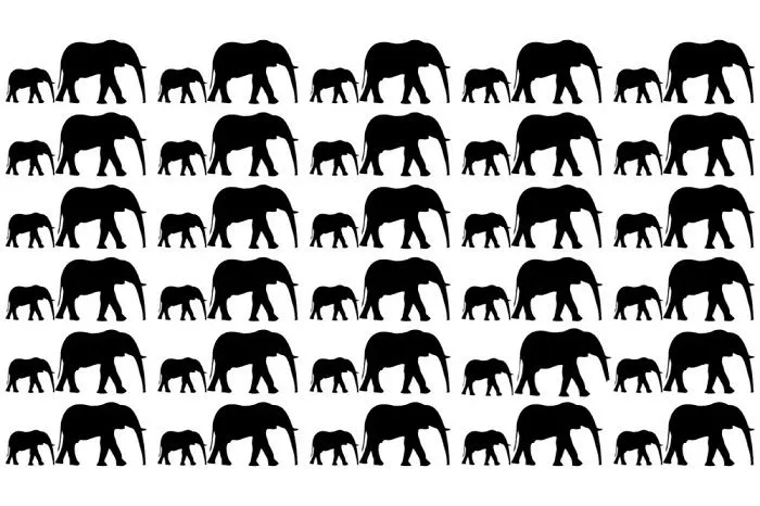 Tes Penglihatan: Yakin Punya Mata Fokus dan Tajam? Coba Cari 1 Gambar Gajah yang Paling Berbeda, Ketemu?