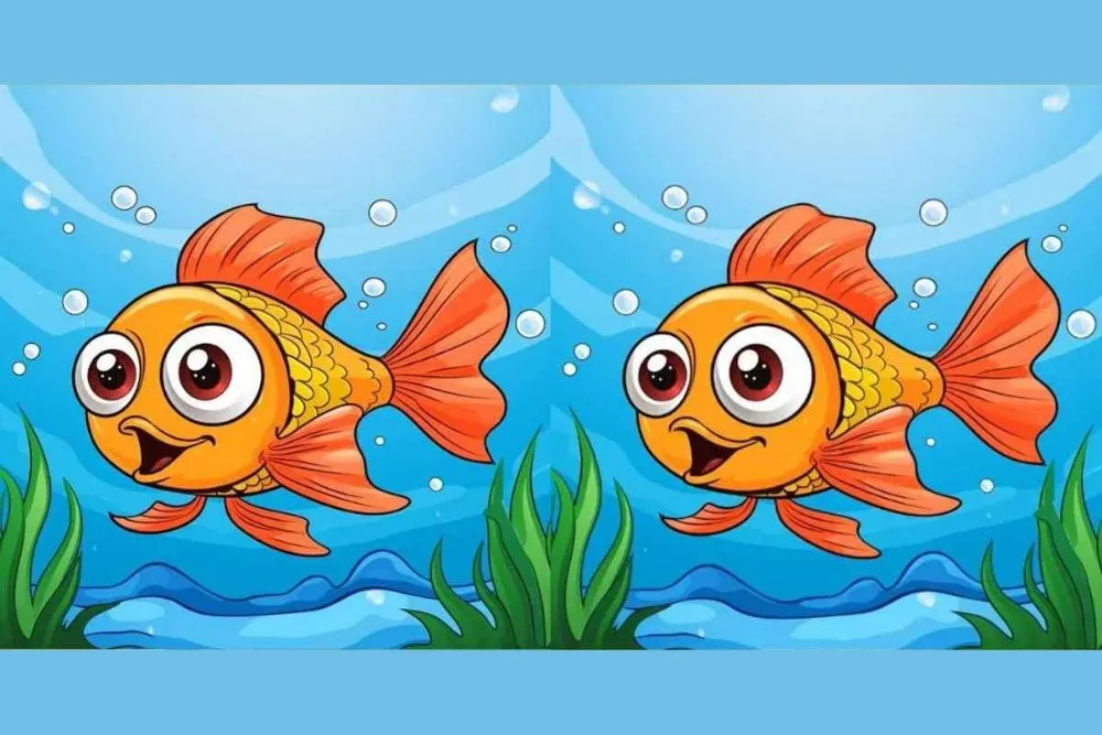 Tes IQ: Ada 3 Perbedaan pada Kedua Gambar Ikan, Temukan Minimal 1 Saja!