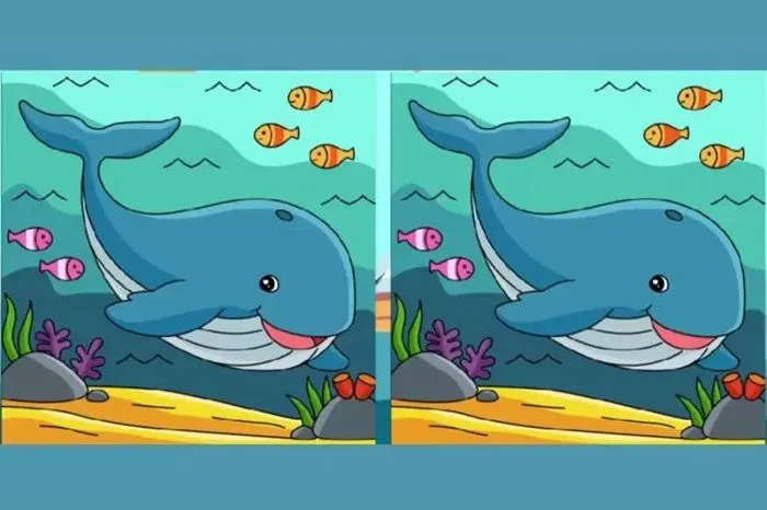 Tes IQ ini menantang keterampilan observasi dan perhatian kamu terhadap detail menyeluruh yang terletak pada gambar ikan.