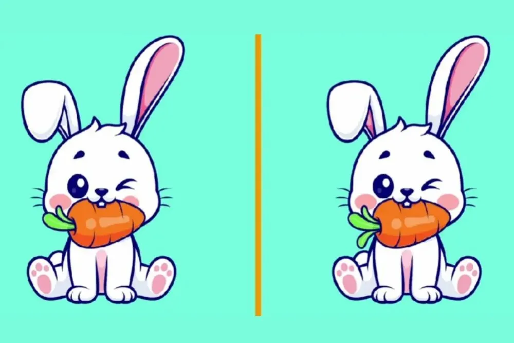 Tes IQ: Seimbangkan Otak Kanan dan Kiri, Cari 3 Perbedaan pada Gambar Kelinci yang Sedang Makan Wortel Ini (Fresherlive)