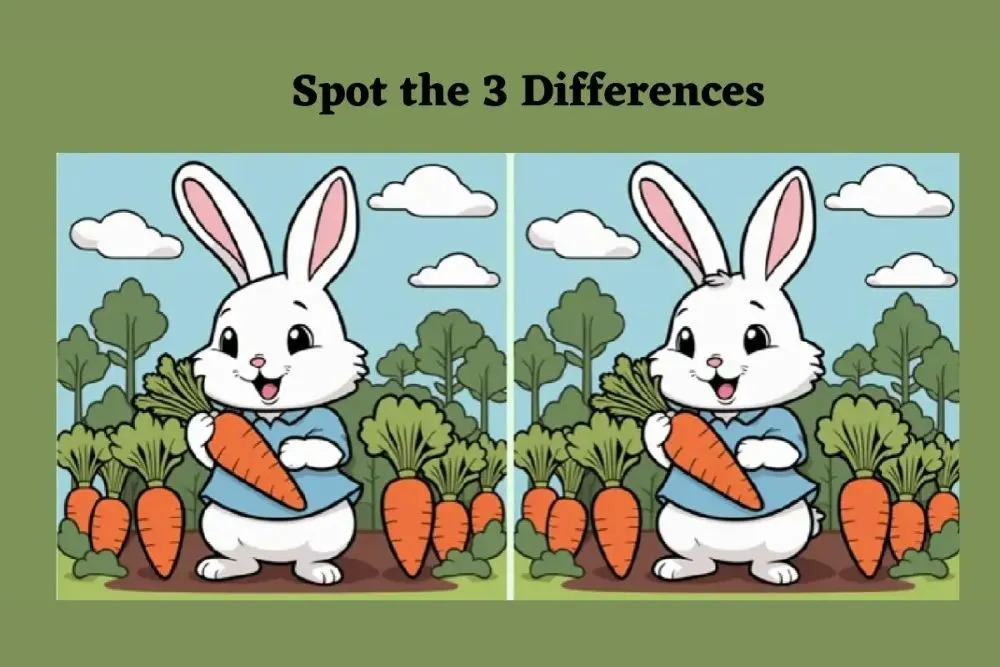 Yuk mulai perhatikan dengan teliti kedua gambar kelinci ini, dan temukan 3 perbedaan yang ada dengan cepat dan tepat.