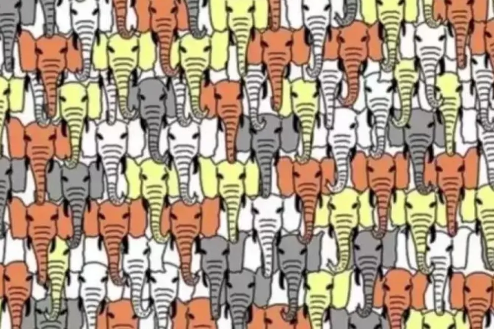 Ilusi Optik: Ada 1 Panda yang Terselip dan Tersembunyi di antara Gajah, Bisakah Kamu Menemukannya? (fresherslive.com)