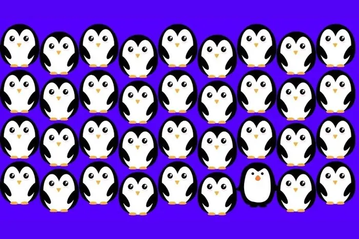 Tes Penglihatan: Yakin Punya Mata yang Fokus? Coba Temukan 1 Gambar Penguin Paling Berbeda, Bisa?