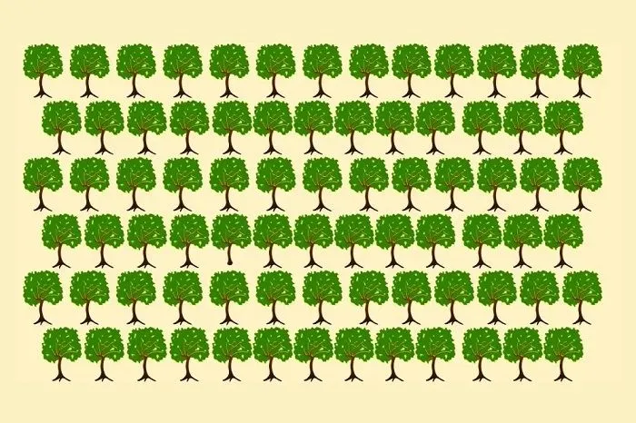 Tes Penglihatan: Fokus dan Amati Baik-baik! Di Mana Letak Gambar Pohon yang Paling Berbeda?